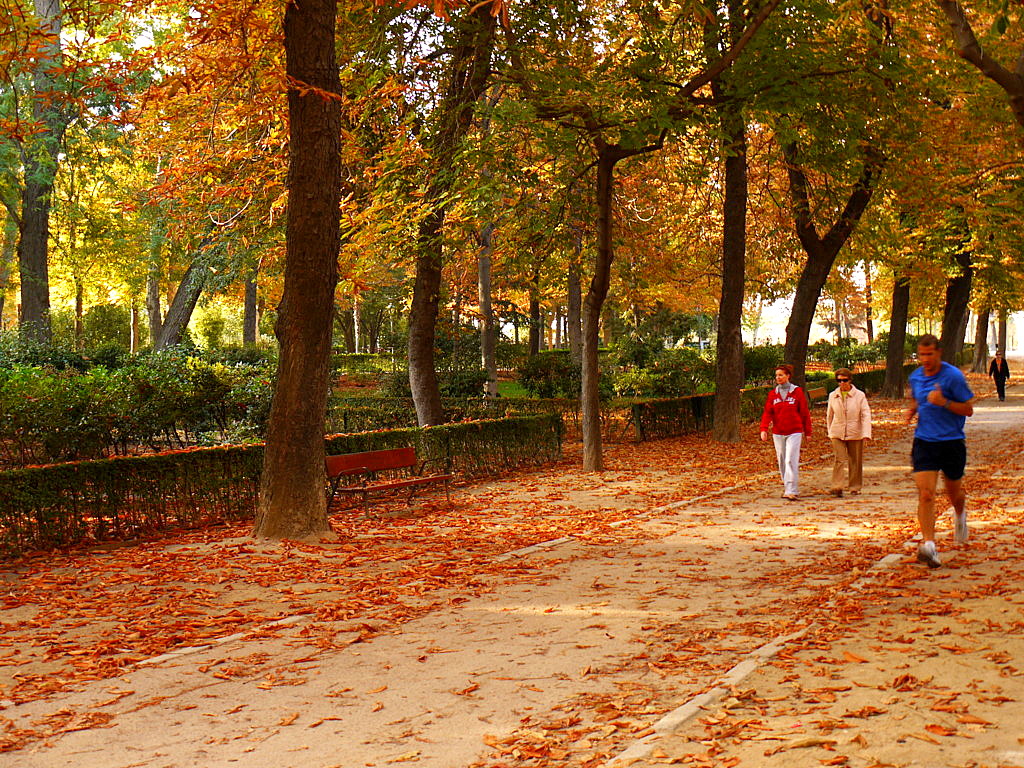 Retiro Park